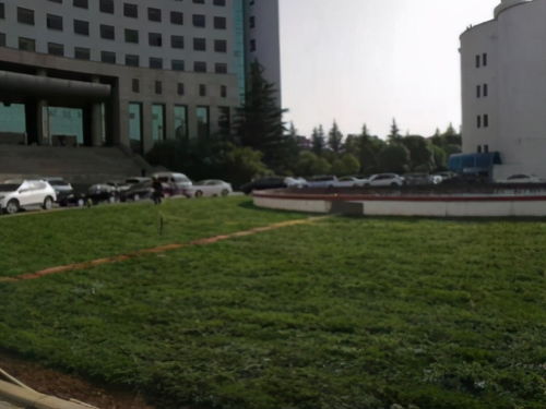 銅川市機關(guān)事務管理服務中心 以數(shù)據(jù)為基石，多措并舉推動“我為群眾辦實事”落地見效