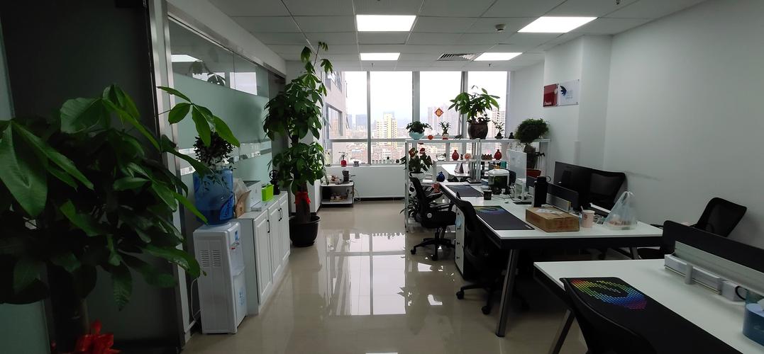 點亮價值服務，賦能韌性成長——教育與企業咨詢服務的多維實踐